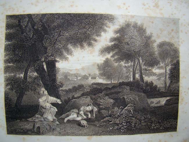 A HOLY BIBLE including the New Testament published by Sadlier & Co., New York, 1854 — image 4